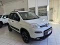 1 FIAT Panda