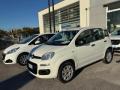 1 FIAT Panda